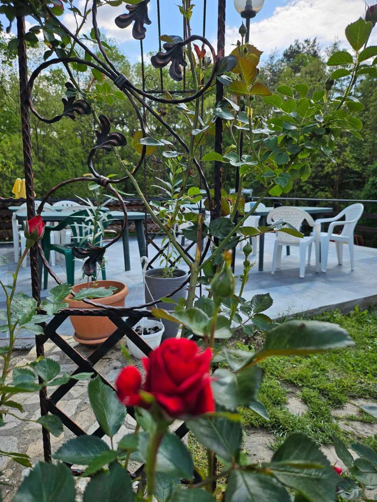 Orehite-Family Hotel ,Food & Pool Bozhichen Экстерьер фото
